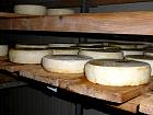 Annecy - Fabrication de tomme à La Compote