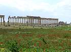 Apamée - Grande colonnade