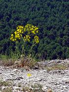 Randonnée en Aragon - 