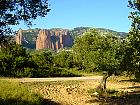 Randonnée en Aragon - Verger d'amandiers