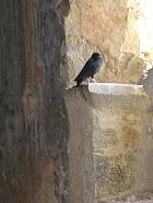 Randonnée en Aragon - Église de la grotte