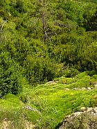 Randonnée en Aragon - 