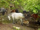 Randonnée en Aragon - Parvino de Ordoles