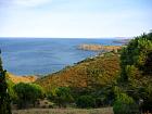 Collioure - 