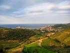 Collioure - 