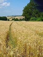 Randonnée au Parc du Vexin  - 