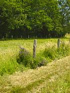 Randonnée au Parc du Vexin  - 