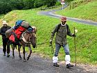 Plateau de l'Aubrac et la transhumance - St-chly