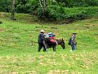 Plateau de l'Aubrac et la transhumance - St-chly
