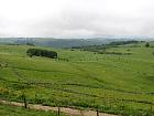 Plateau de l'Aubrac et la transhumance - 