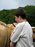 Plateau de l'Aubrac et la transhumance - Transhumance