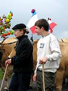 Plateau de l'Aubrac et la transhumance - Transhumance