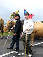 Plateau de l'Aubrac et la transhumance - Transhumance