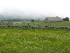 Plateau de l'Aubrac et la transhumance - Transhumance