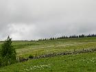 Plateau de l'Aubrac et la transhumance - Transhumance