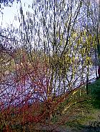 Randonnée Auvers-sur-Oise - 