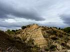 El Vedado de Eguaras  - 