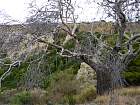 El Vedado de Eguaras  - 