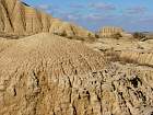 Bardenas blanca - 