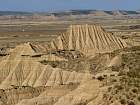 Bardenas blanca - 