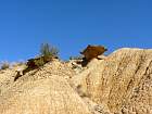 Bardenas blanca - 