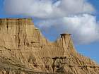 Bardenas blanca - Hermanito