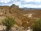 Bardenas blanca - Rallón