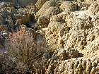 Bardenas blanca - 