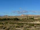 Bardenas blanca - 