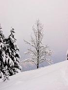 Massif de Belledonne - rable