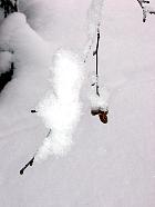 Massif de Belledonne - Aulne