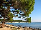 Biograd - 