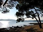 Biograd - 