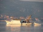 Biograd - 