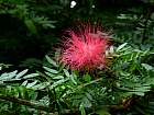 Bohol - 