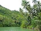 Bohol - Croisire sur le Loboc