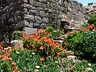 Bosra - 