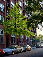 Brooklyn  - Prs de Prospect Park