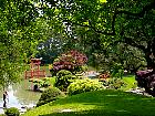Brooklyn Garden - Jardin japonais