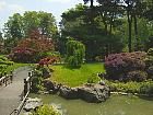 Brooklyn Garden - Jardin japonais