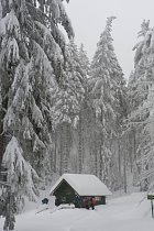 Bussang, raquettes - Chalet Peut-Haut