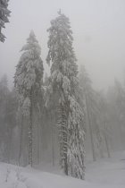 Bussang, raquettes - 