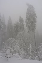 Bussang, raquettes - 