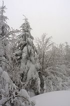 Bussang, raquettes - 