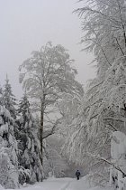 Bussang, raquettes - 