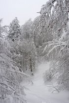 Bussang, raquettes - 