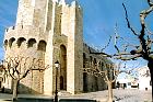 Camargue - Saintes Maries de la mer