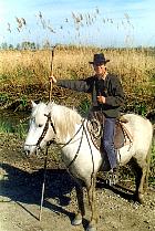 Camargue - Gardians