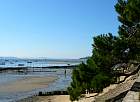 Cap Ferret, du Canon à Bélisaire - 