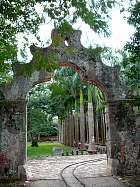 Celestun - Ochil, plantation d'agave